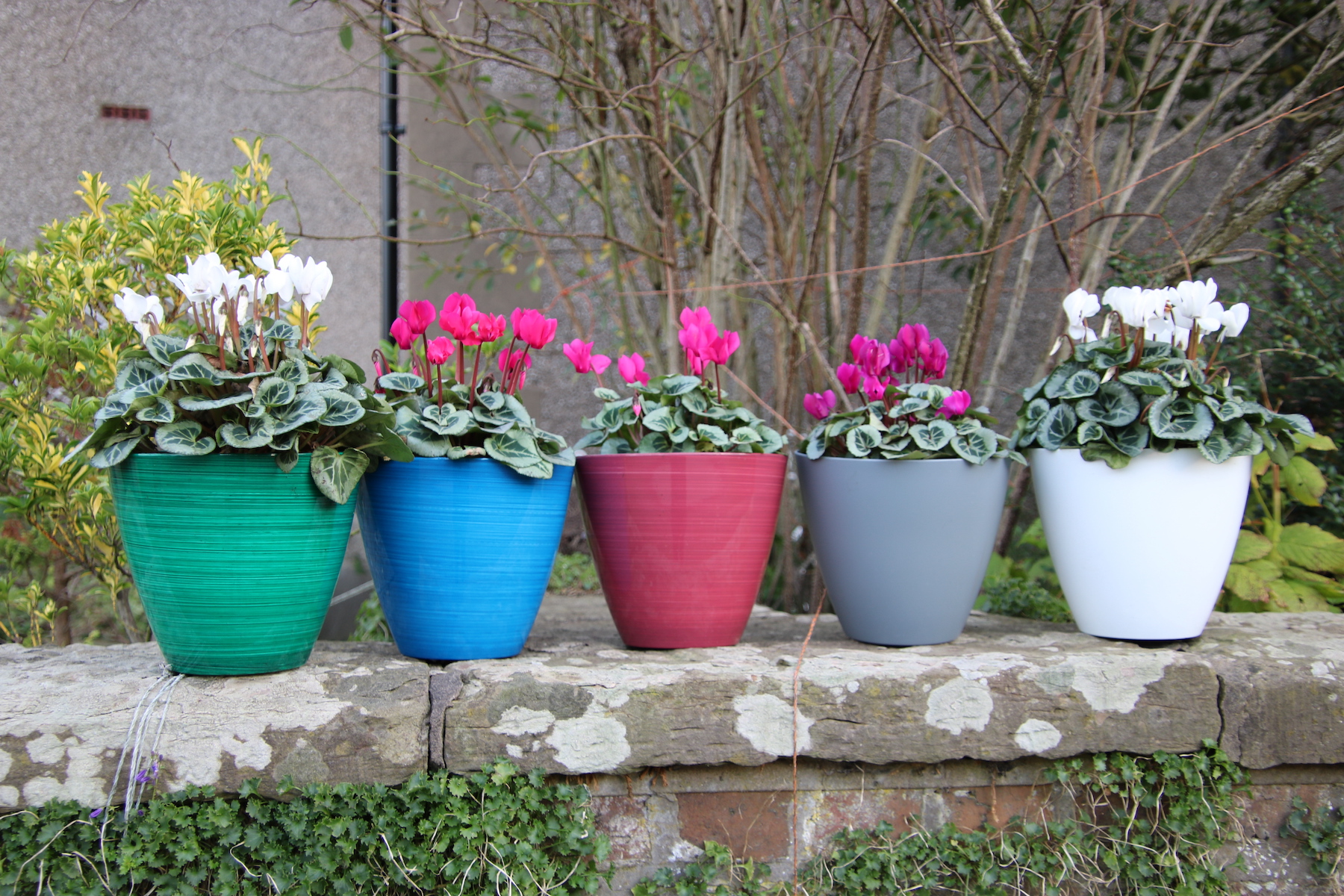 Savannah Planter x 5 colours-02