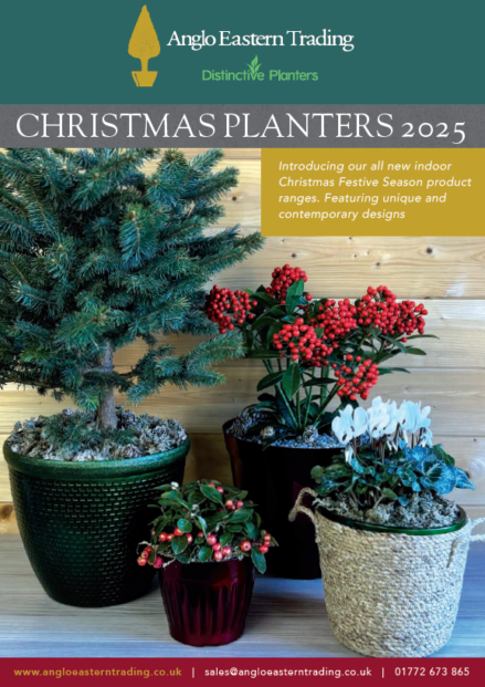 Christmas Planters Catalogue